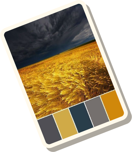 color palette